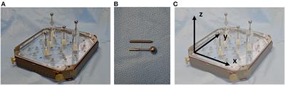 Accuracy of Robotic and Frame-Based Stereotactic Neurosurgery in a Phantom Model